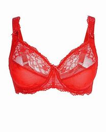 DAILY Full Coverage Lace Bra 1400-5A 05 red